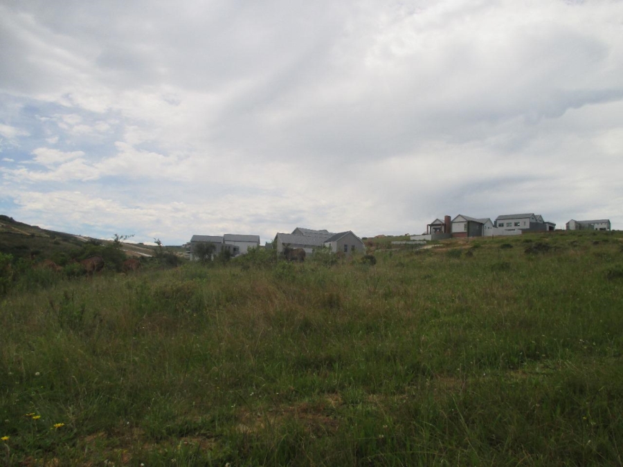 0 Bedroom Property for Sale in Outeniquasbosch Western Cape